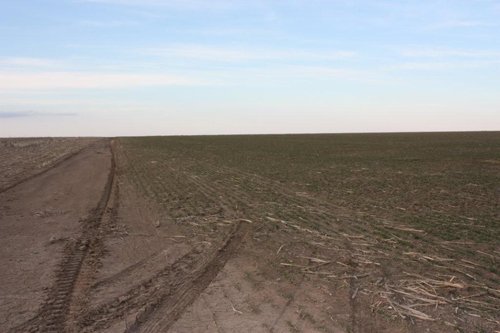 Property photo 61 - Kansas Land Auction - 960 Acres - 7 Farms in 3 Counties